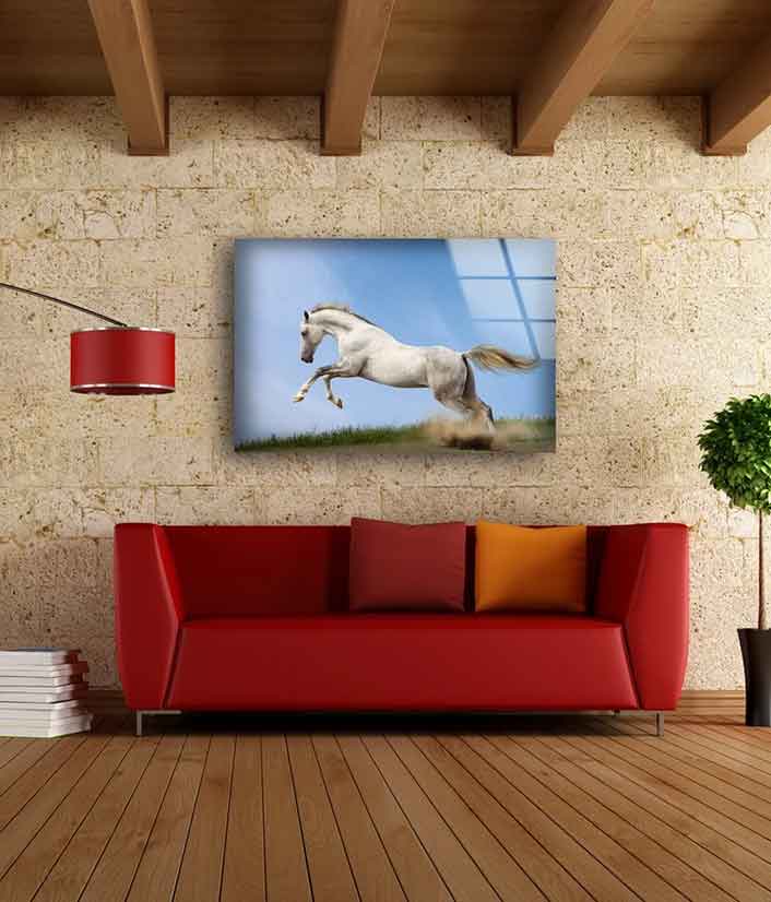 Running White Horse UV Direct Aluminum Print Australian Made Quality