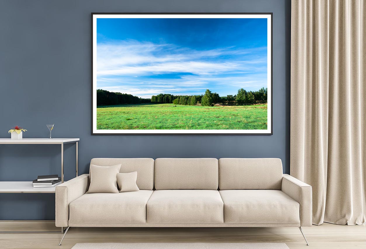 Tranquil Grassland at Sunrise Home Decor Premium Quality Poster Print Choose Your Sizes