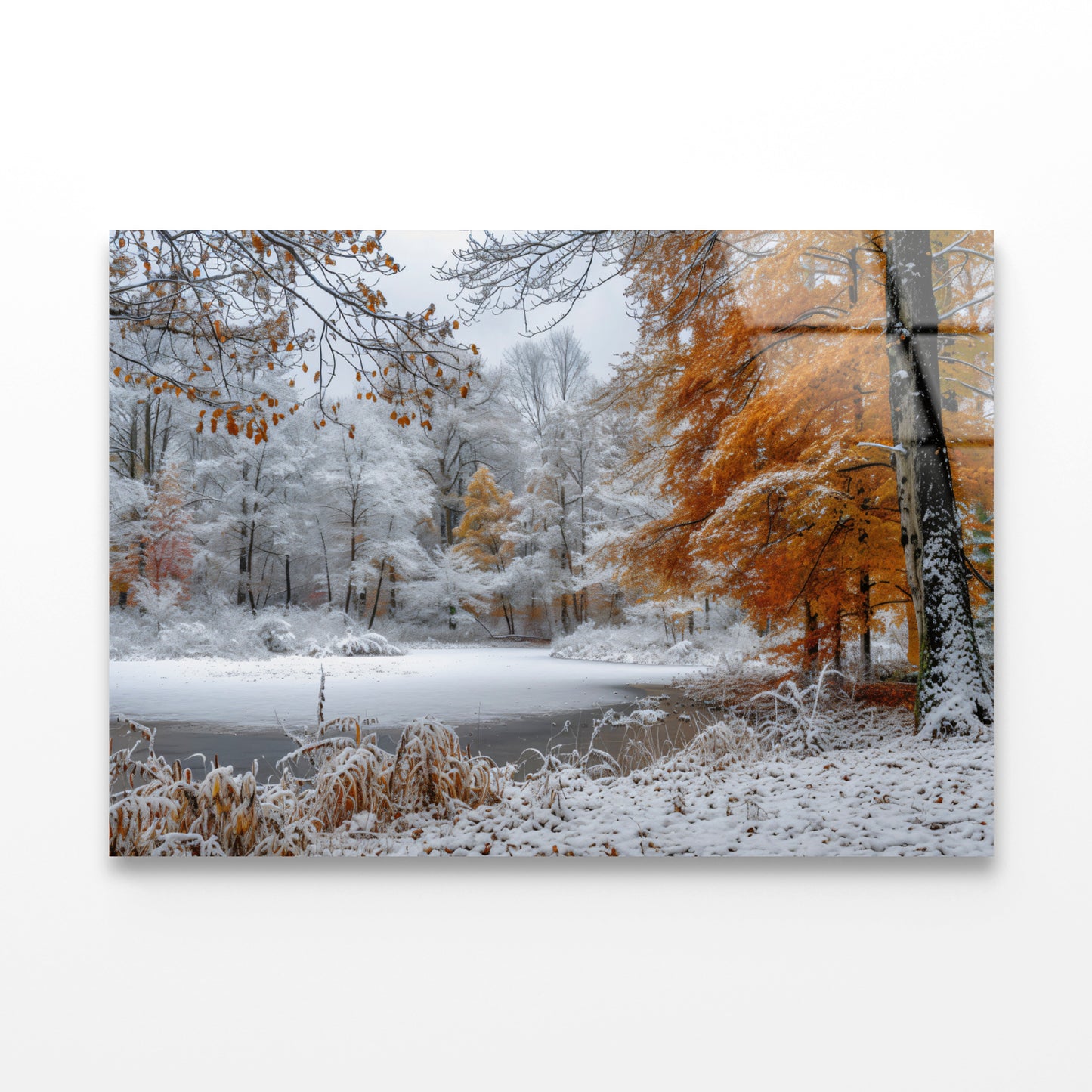 Winter with Autumn Leaves Acrylic Glass Print Tempered Glass Wall Art 100% Made in Australia Ready to Hang