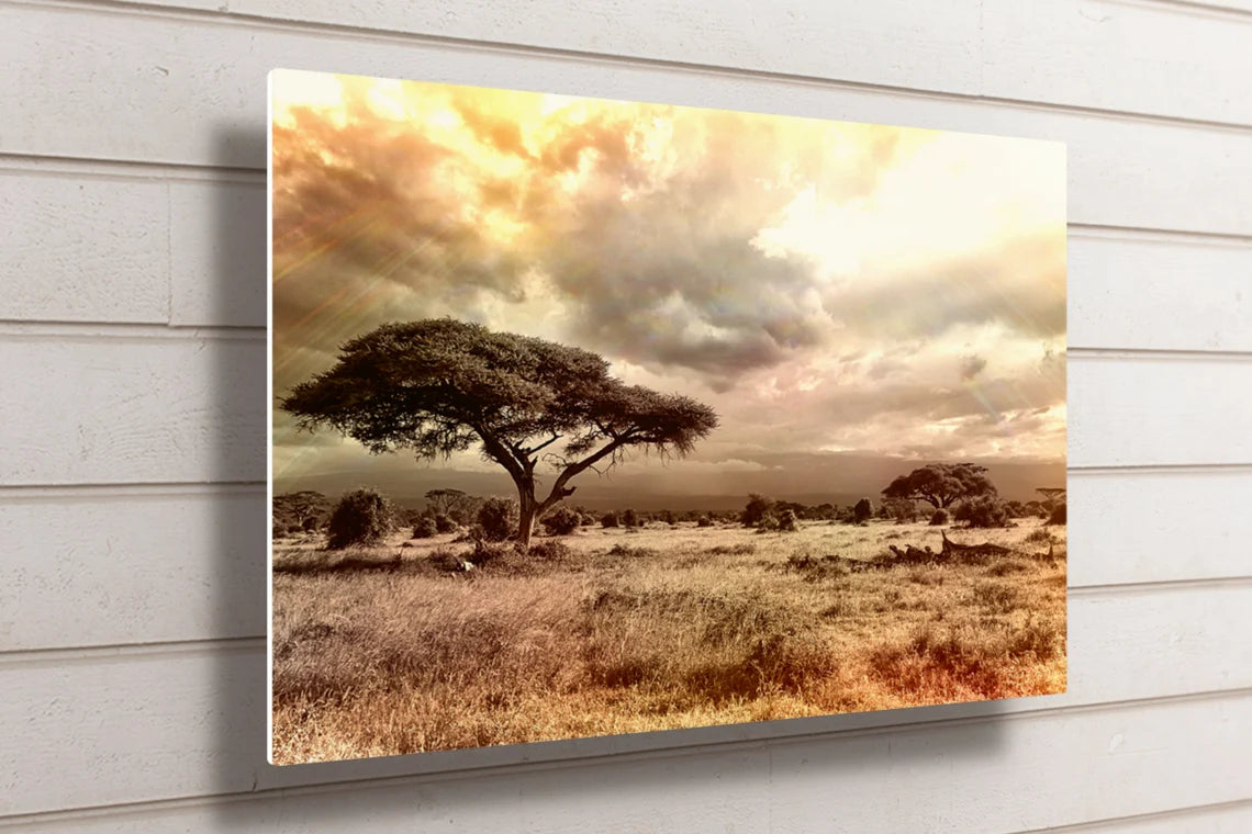 African Savannah Sunset UV Direct Aluminum Print Australian Made Quality