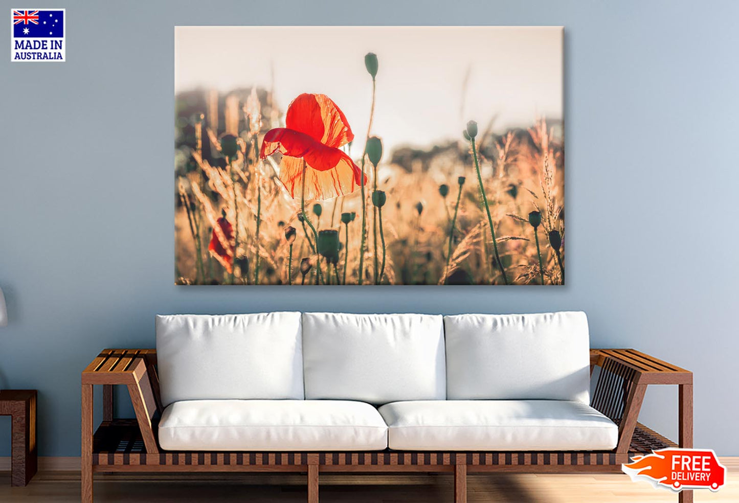 Poppy Plants in The Evening Light Wall Art Decor 100% Australian Made