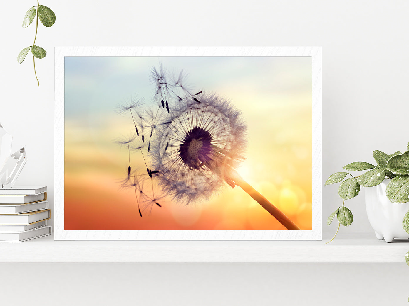 Dandelion Silhouette Sunset Glass Framed Wall Art, Ready to Hang Quality Print Without White Border White