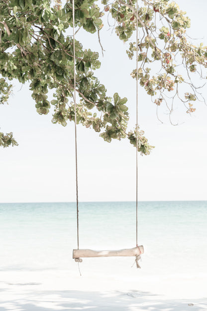 Beach Swing & Tree near Beach Photograph Glass Framed Wall Art, Ready to Hang Quality Print