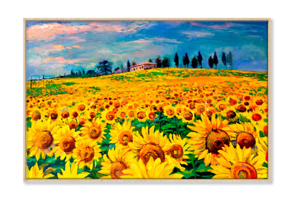 Oil Painting With Sunflower Field Wall Art Limited Edition High Quality Print Canvas Box Framed Natural