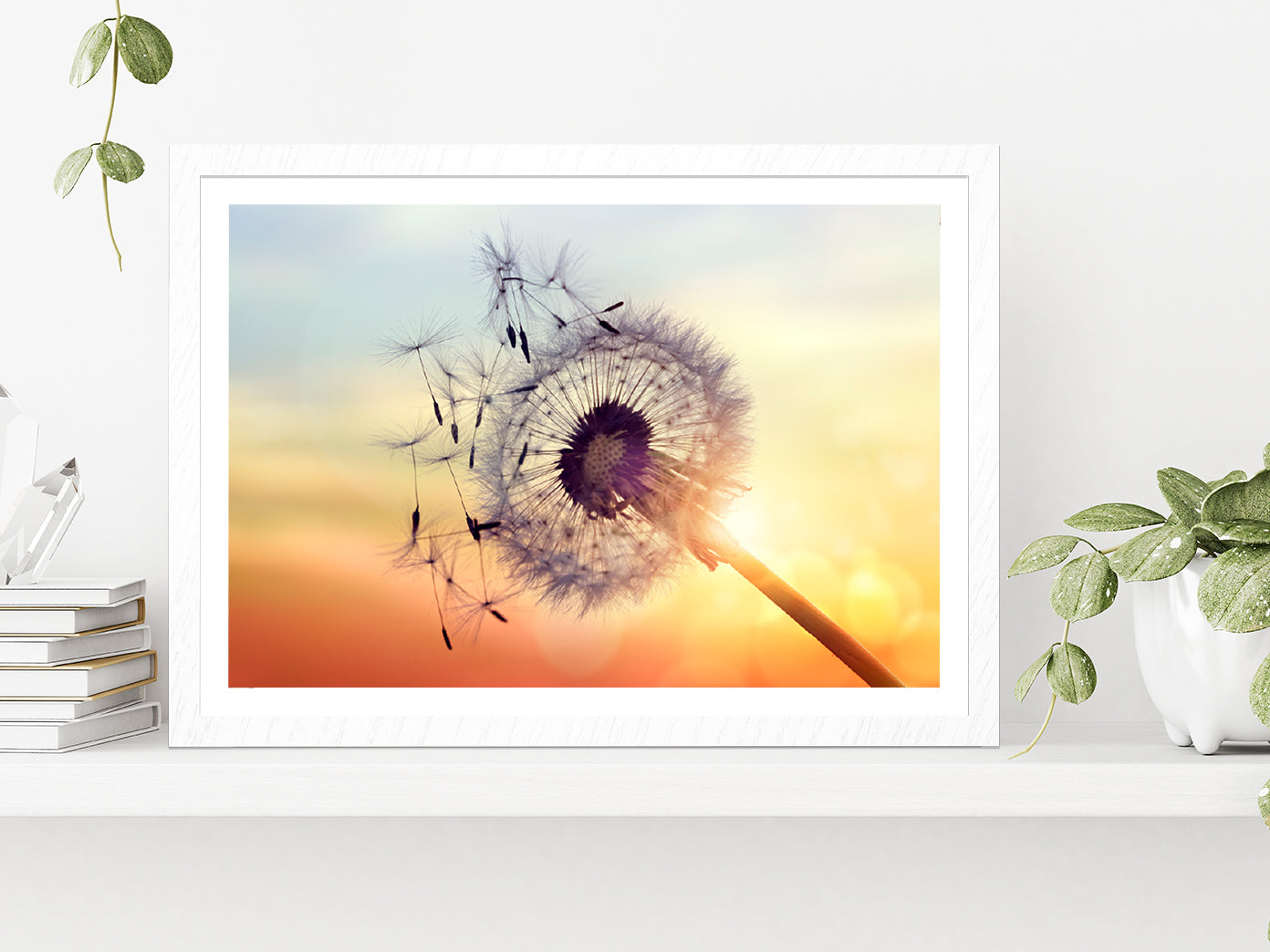 Dandelion Silhouette Sunset Glass Framed Wall Art, Ready to Hang Quality Print With White Border White