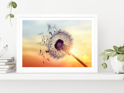 Dandelion Silhouette Sunset Glass Framed Wall Art, Ready to Hang Quality Print With White Border White