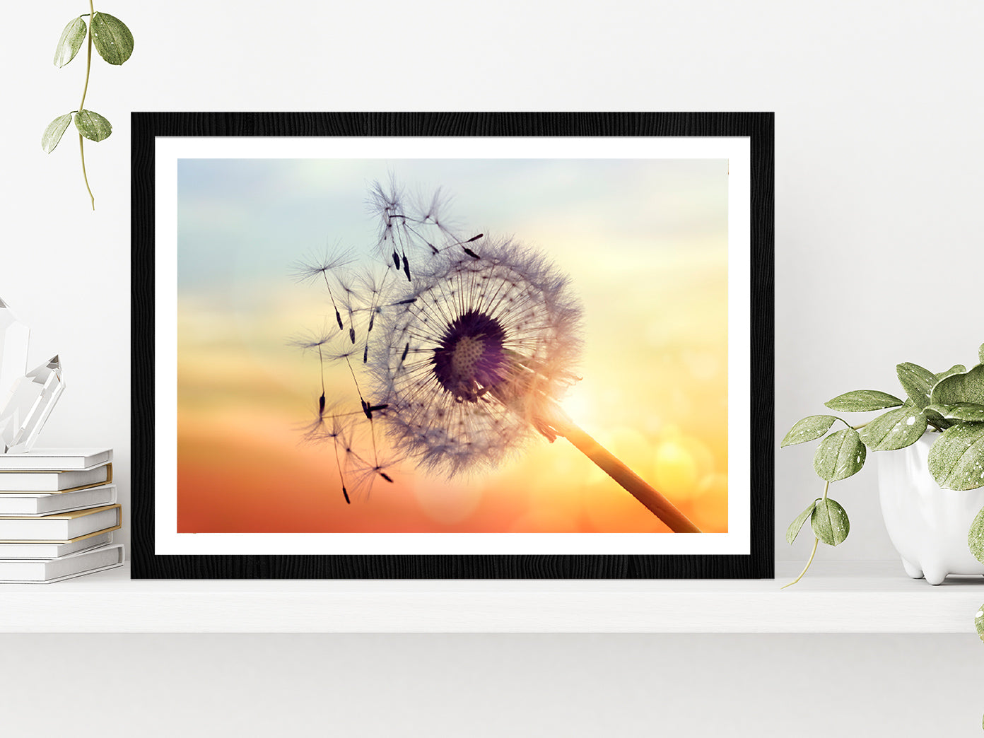 Dandelion Silhouette Sunset Glass Framed Wall Art, Ready to Hang Quality Print With White Border Black