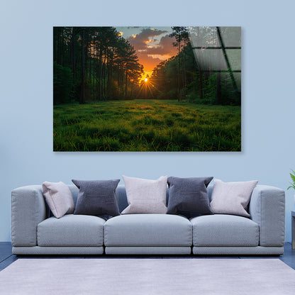 Sunrise in the Forest Acrylic Glass Print Tempered Glass Wall Art 100% Made in Australia Ready to Hang