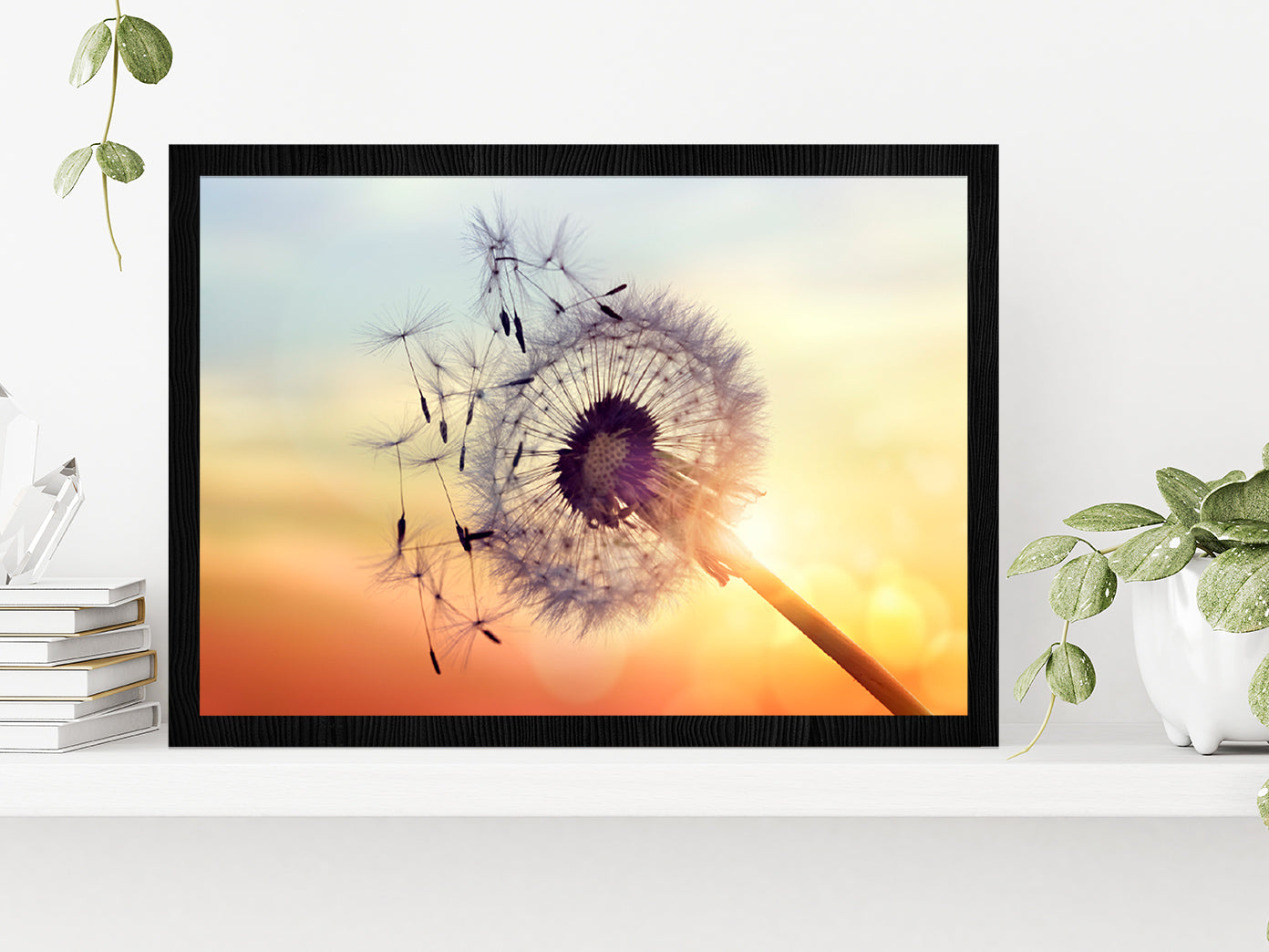 Dandelion Silhouette Sunset Glass Framed Wall Art, Ready to Hang Quality Print Without White Border Black