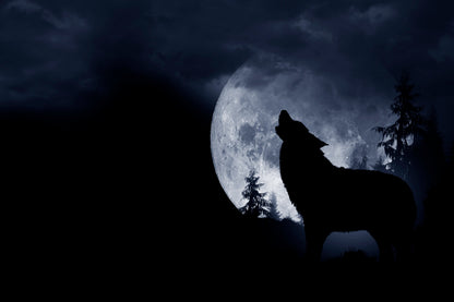 Wolf Howling at The Moon in The Dark Home Decor Premium Quality Poster Print Choose Your Sizes