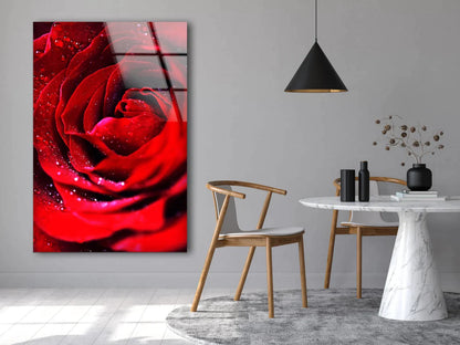 Red Flower With Water UV Direct Aluminum Print Australian Made Quality