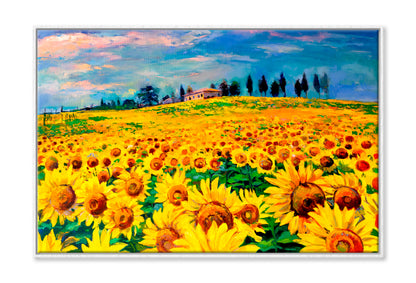 Oil Painting With Sunflower Field Wall Art Limited Edition High Quality Print Canvas Box Framed White