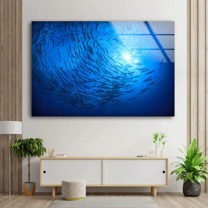 Fish Underwater UV Direct Aluminum Print Australian Made Quality