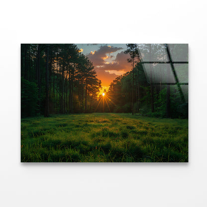 Sunrise in the Forest Acrylic Glass Print Tempered Glass Wall Art 100% Made in Australia Ready to Hang