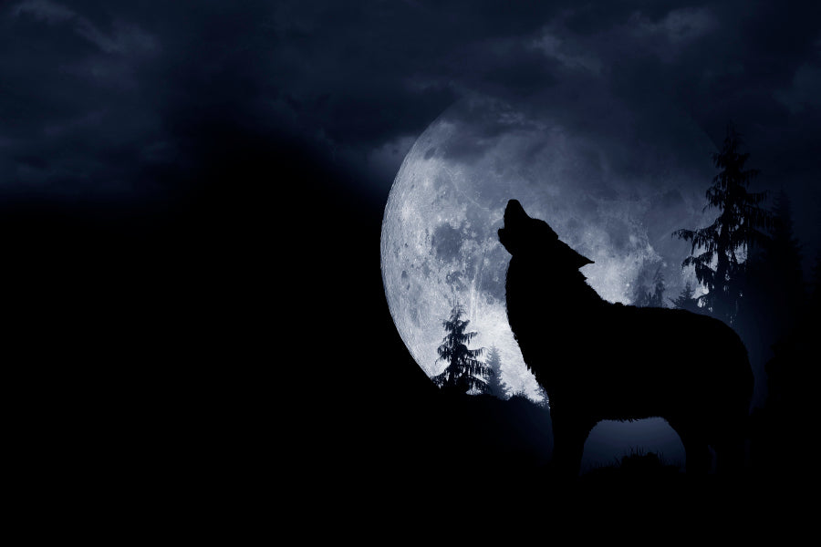 Wolf Howling at The Moon in The Dark Acrylic Glass Print Tempered Glass Wall Art 100% Made in Australia Ready to Hang