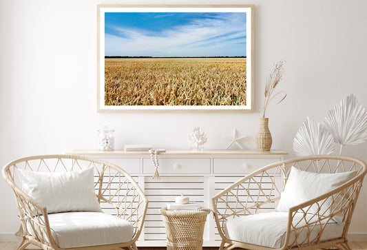 View of a Large Field Of Crops under a Blue Sky Home Decor Premium Quality Poster Print Choose Your Sizes