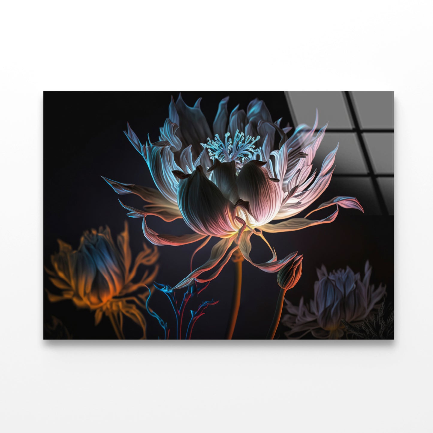 Close-Up of a Flower at Night Acrylic Glass Print Tempered Glass Wall Art 100% Made in Australia Ready to Hang