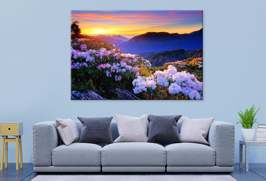 Spring Twilight on Hehuan Mountain  Taiwan Wall Art Decor 100% Australian Made