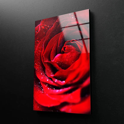 Red Flower With Water UV Direct Aluminum Print Australian Made Quality