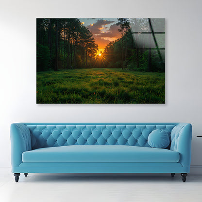 Sunrise in the Forest Acrylic Glass Print Tempered Glass Wall Art 100% Made in Australia Ready to Hang