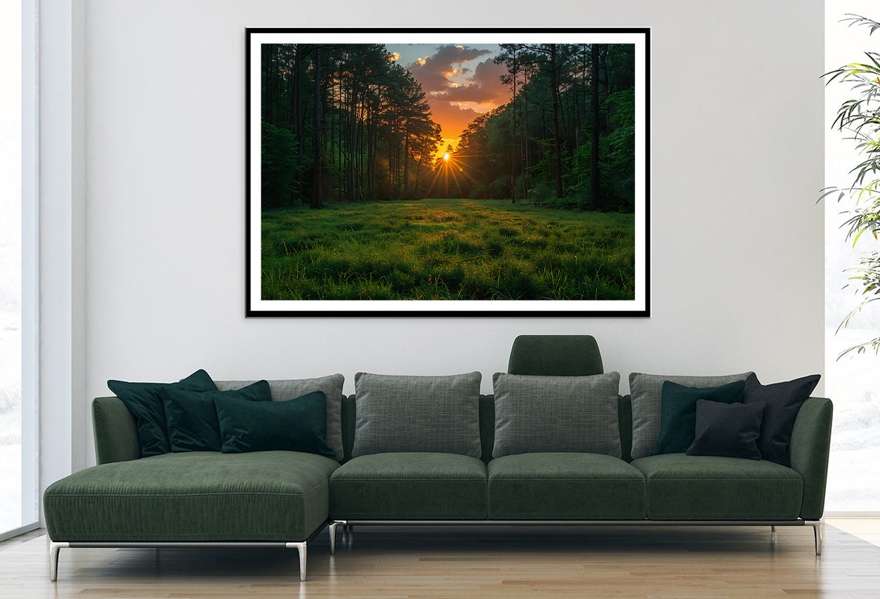 Sunrise in the Forest Home Decor Premium Quality Poster Print Choose Your Sizes