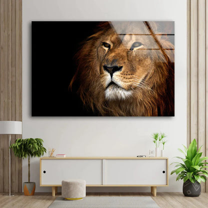 Lion Face Portrait View UV Direct Aluminum Print Australian Made Quality