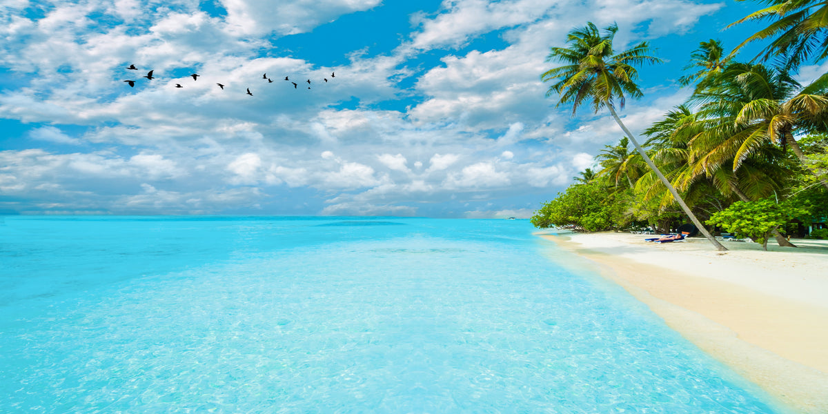 Maldives Blue Ocean Beach Wall Art Canvas Office Home Room Framed 120x60cm