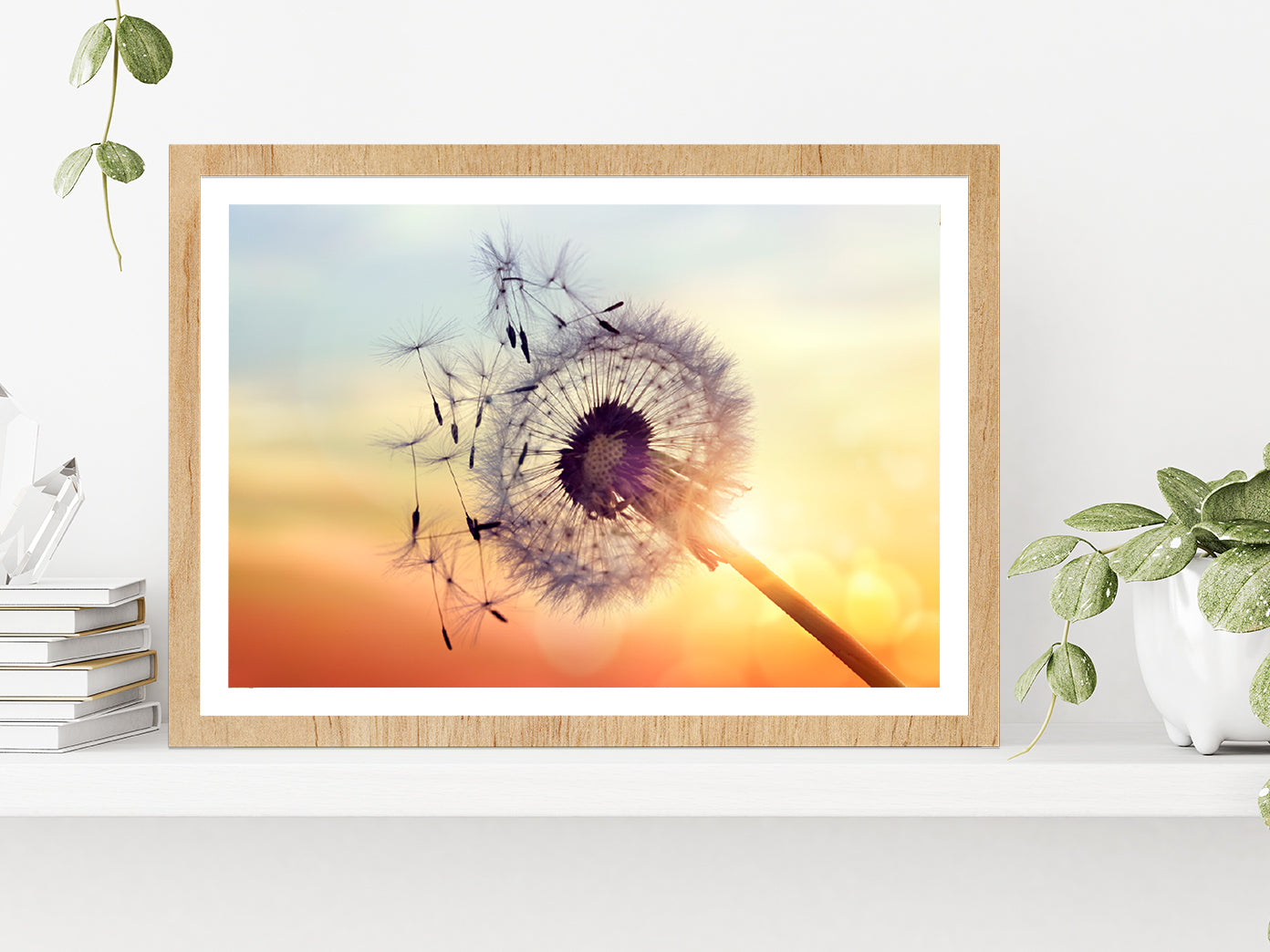 Dandelion Silhouette Sunset Glass Framed Wall Art, Ready to Hang Quality Print With White Border Oak
