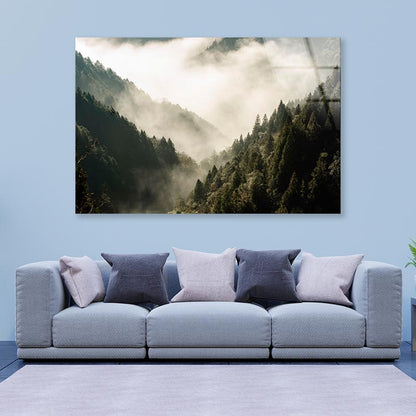 Fog In Forest, Early Morning Scene in Mountain Acrylic Glass Print Tempered Glass Wall Art 100% Made in Australia Ready to Hang