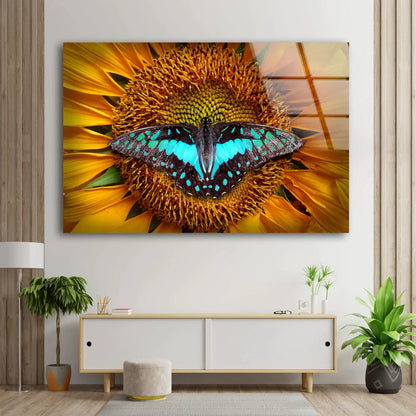 Butterfly on Sunflower UV Direct Aluminum Print Australian Made Quality