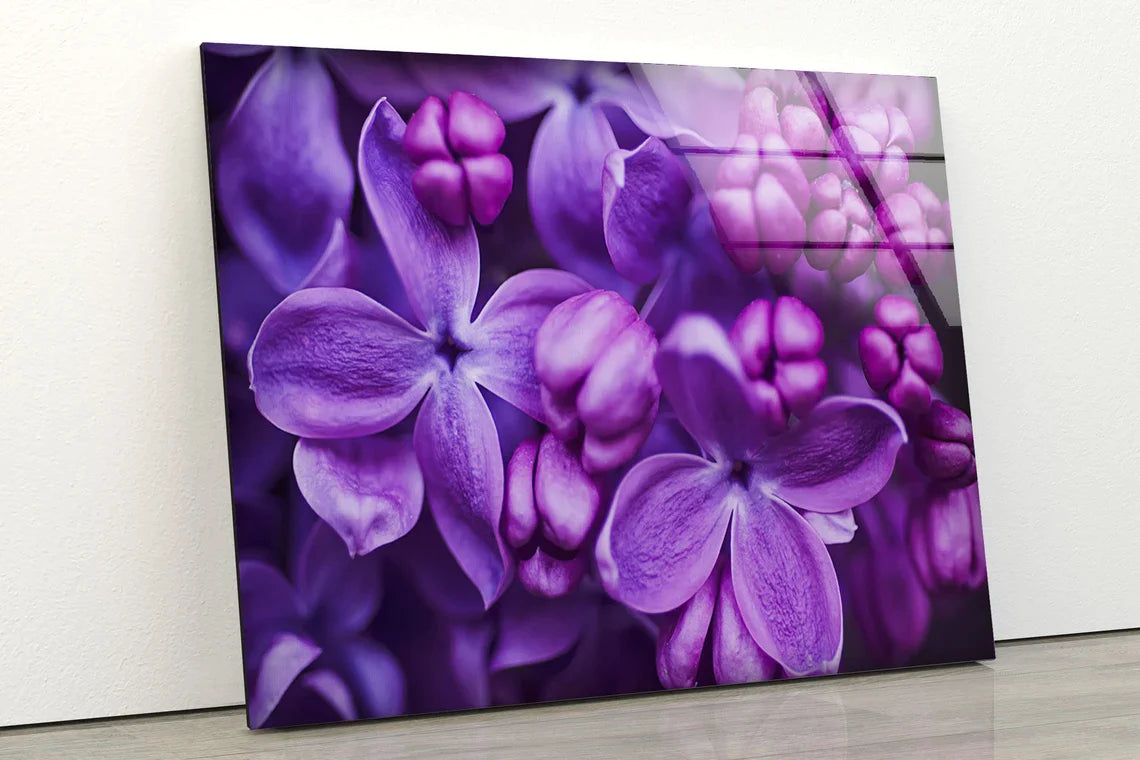 Purple Flowers Closeup UV Direct Aluminum Print Australian Made Quality