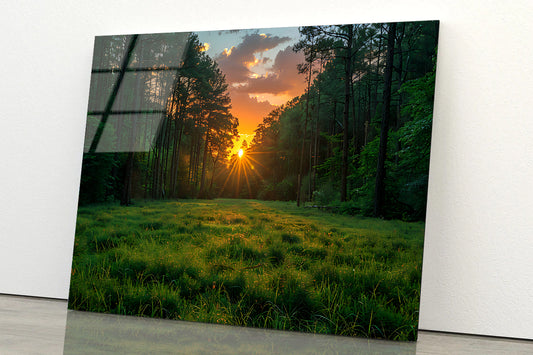 Sunrise in the Forest Acrylic Glass Print Tempered Glass Wall Art 100% Made in Australia Ready to Hang