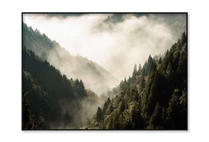 Fog In Forest, Early Morning Scene in Mountain Home Decor Premium Quality Poster Print Choose Your Sizes