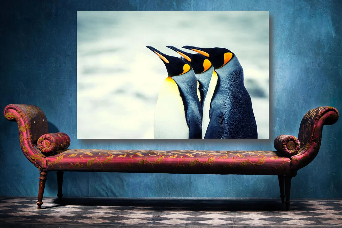 Arctic Penguins Wall Art UV Direct Aluminum Print Australian Made Quality