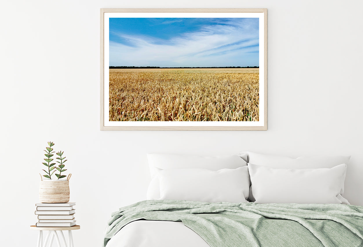 View of a Large Field Of Crops under a Blue Sky Home Decor Premium Quality Poster Print Choose Your Sizes