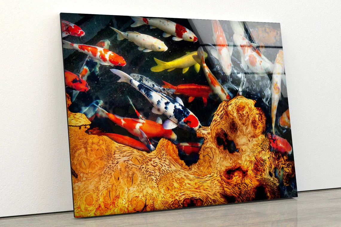 Koi Fish & Table View UV Direct Aluminum Print Australian Made Quality