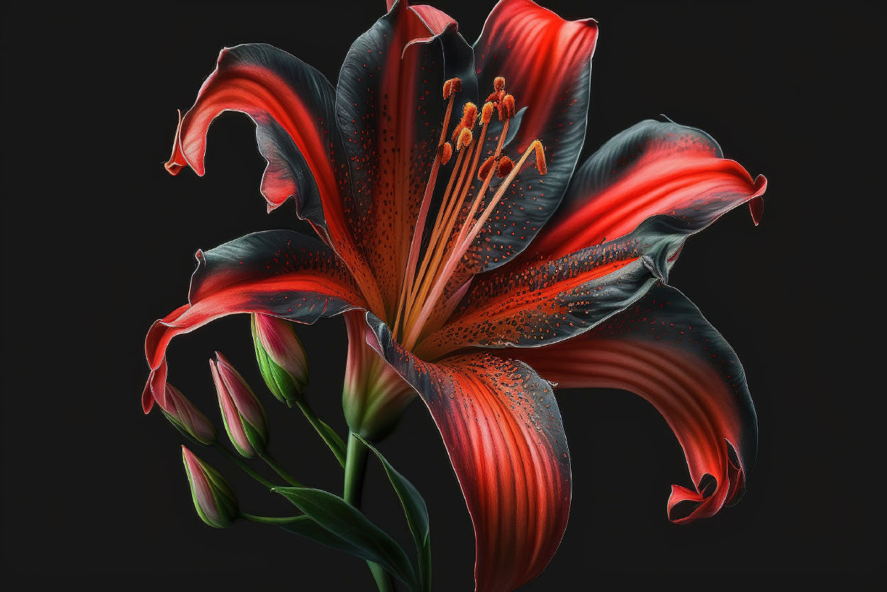 View of Lily Blossom Home Decor Premium Quality Poster Print Choose Your Sizes