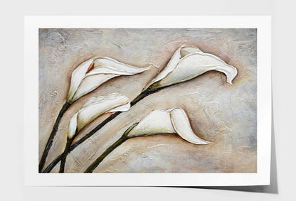 Calla Lily White Flower Oil Painting Wall Art Limited Edition High Quality Print