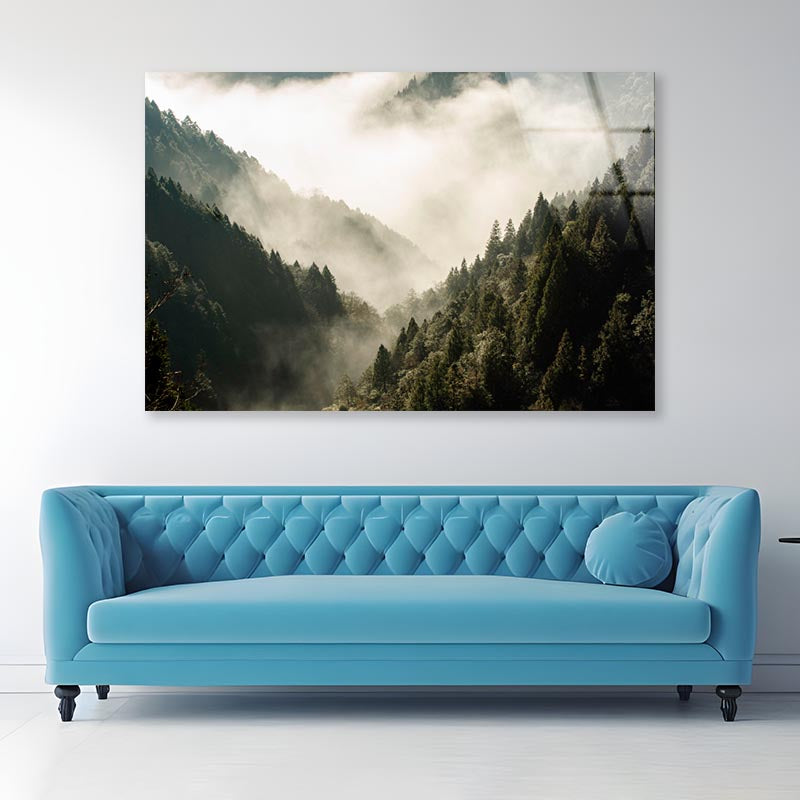 Fog In Forest, Early Morning Scene in Mountain Acrylic Glass Print Tempered Glass Wall Art 100% Made in Australia Ready to Hang