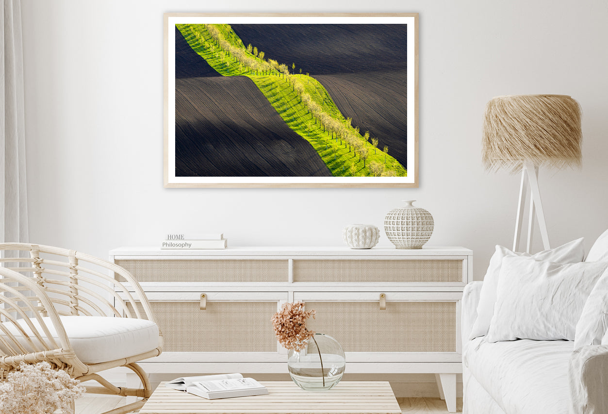 Long Line of Trees Gracefully Standing In a Serene Field Home Decor Premium Quality Poster Print Choose Your Sizes