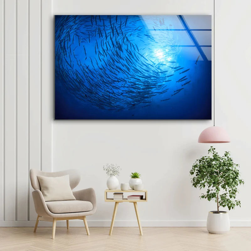 Fish Underwater UV Direct Aluminum Print Australian Made Quality