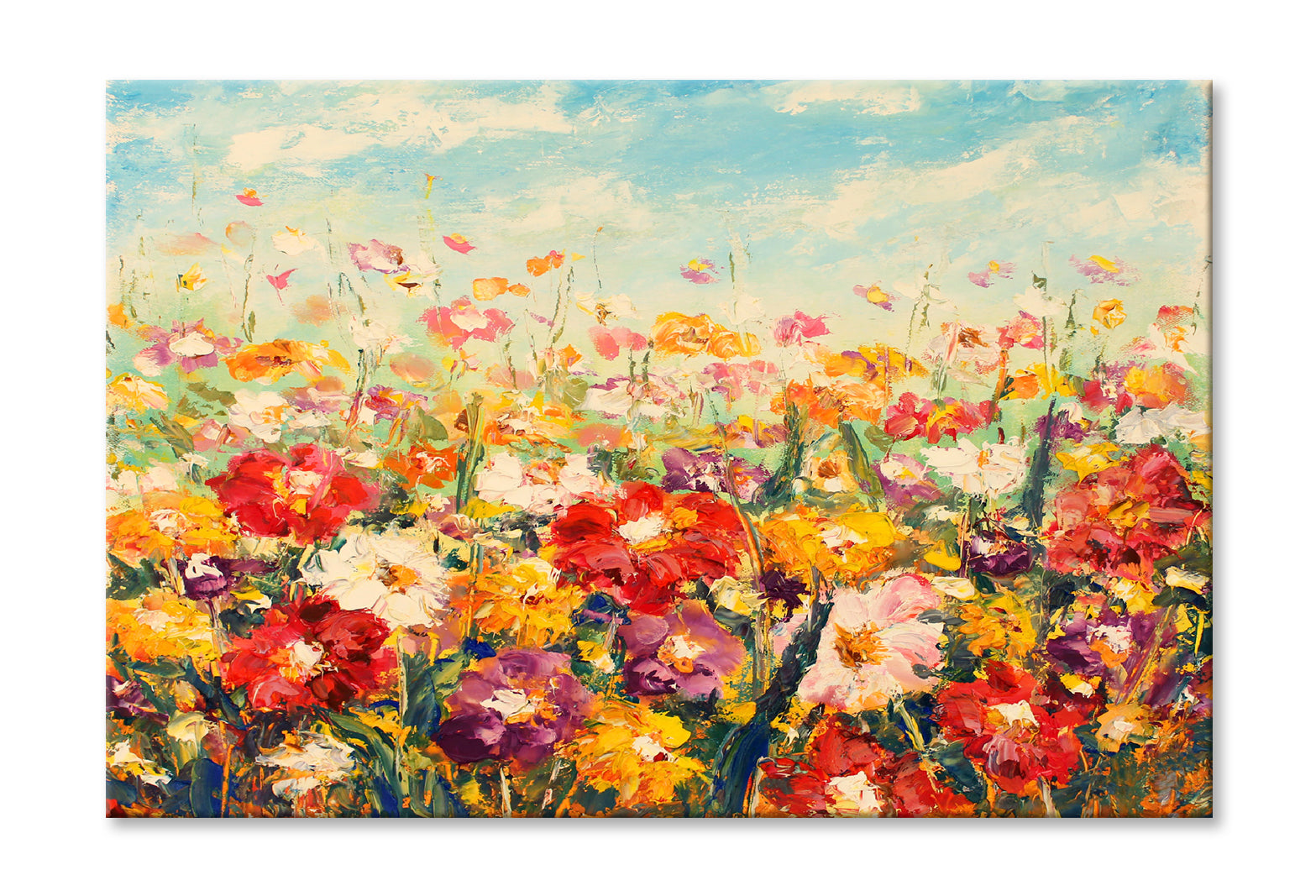 Colorful Flower Field with Cloudy Blue Sky Painting Wall Art Limited Edition High Quality Print Stretched Canvas None