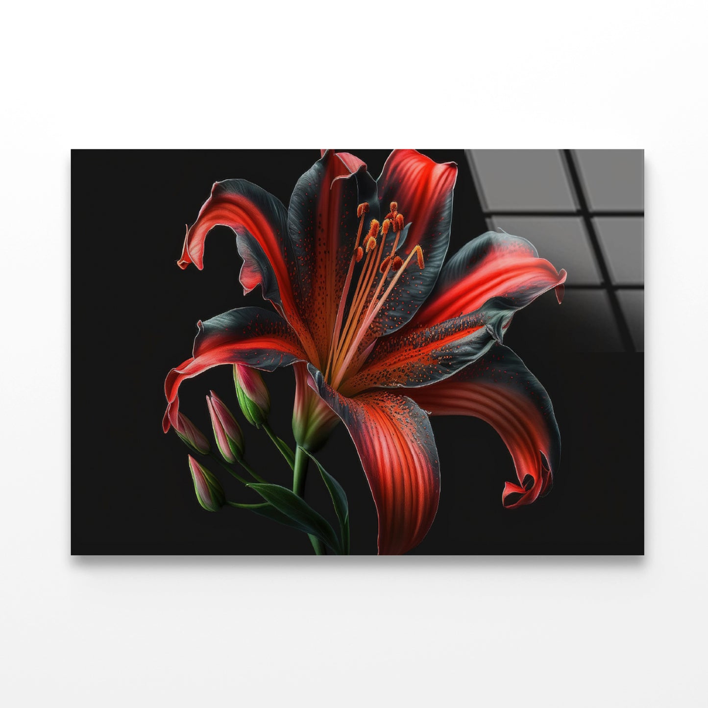 View of Lily Blossom Acrylic Glass Print Tempered Glass Wall Art 100% Made in Australia Ready to Hang