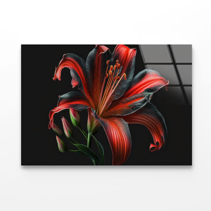 View of Lily Blossom Acrylic Glass Print Tempered Glass Wall Art 100% Made in Australia Ready to Hang