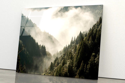 Fog In Forest, Early Morning Scene in Mountain Acrylic Glass Print Tempered Glass Wall Art 100% Made in Australia Ready to Hang