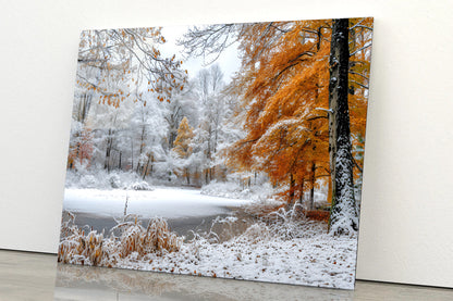 Winter with Autumn Leaves Acrylic Glass Print Tempered Glass Wall Art 100% Made in Australia Ready to Hang