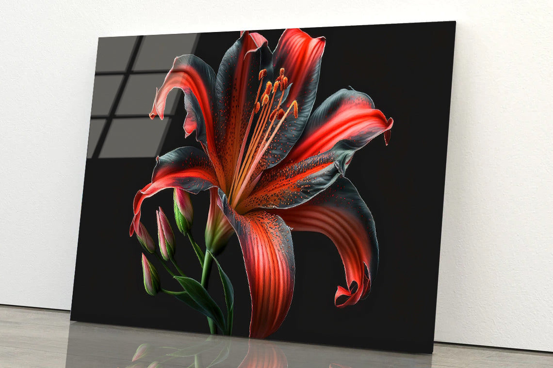 View of Lily Blossom Acrylic Glass Print Tempered Glass Wall Art 100% Made in Australia Ready to Hang