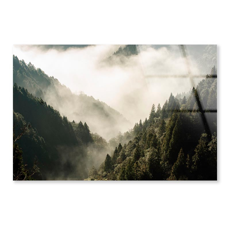 Fog In Forest, Early Morning Scene in Mountain Acrylic Glass Print Tempered Glass Wall Art 100% Made in Australia Ready to Hang