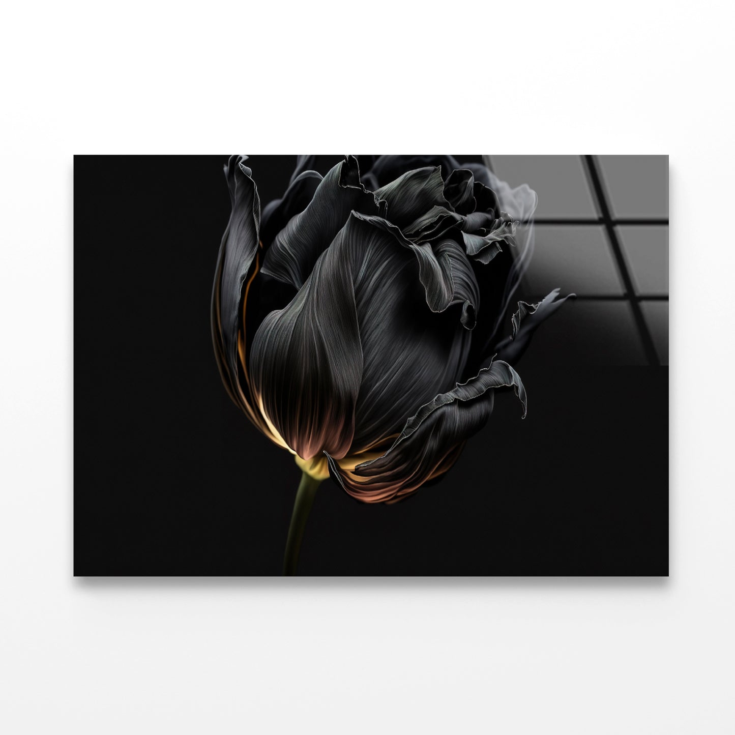 Striking Black Flower with a Vibrant Yellow Acrylic Glass Print Tempered Glass Wall Art 100% Made in Australia Ready to Hang