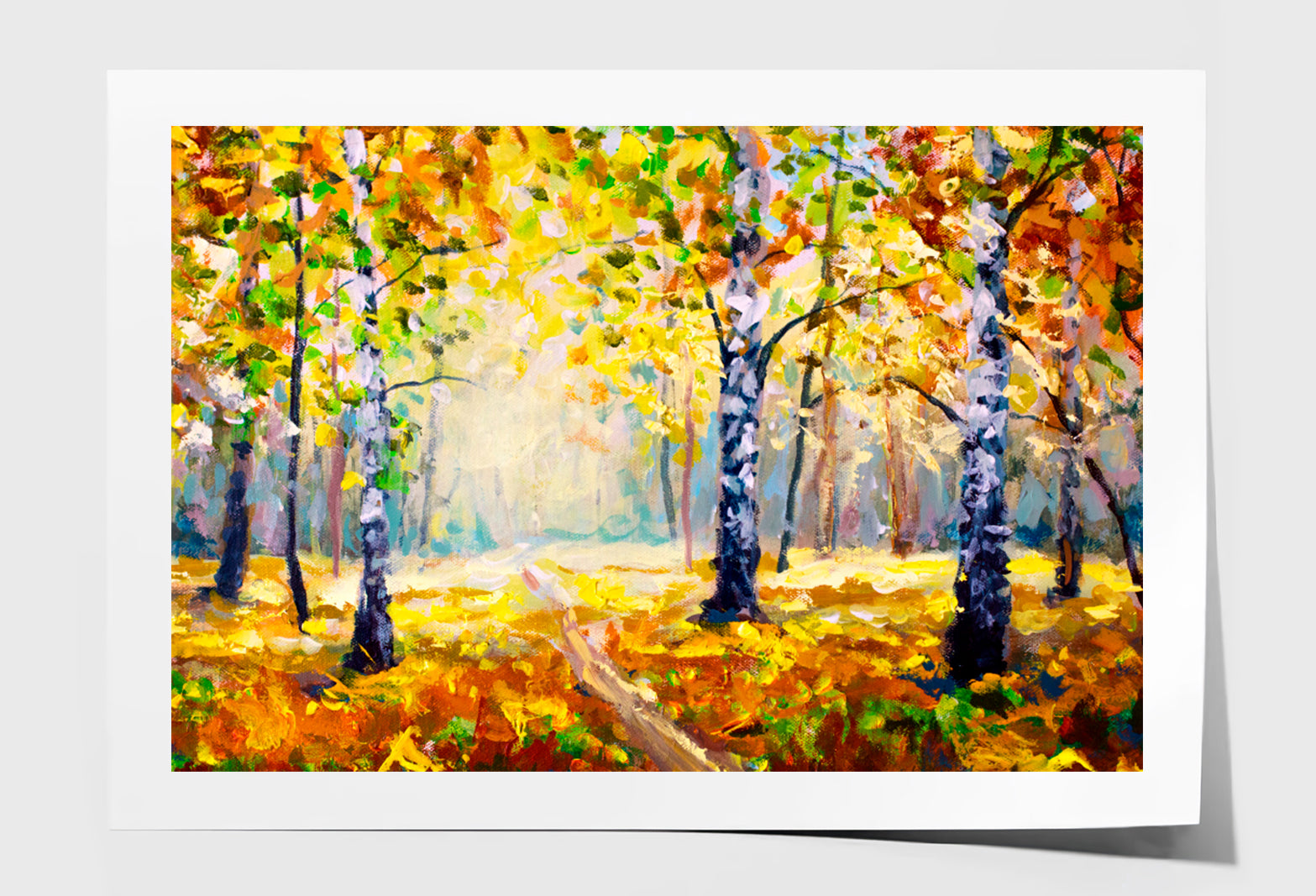 White Birch Trees In Autumn Forest Oil Painting Wall Art Limited Edition High Quality Print Unframed Roll Canvas None